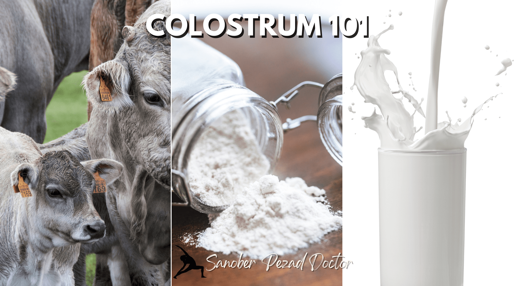 Bovine Colostrum 101- What is Colostrum, its Benefits & What to Expect?